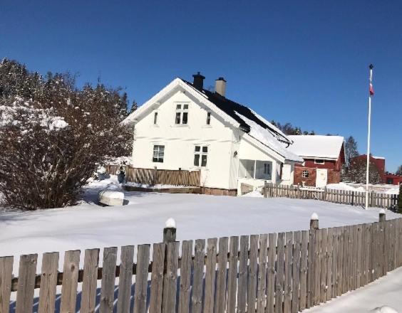 Småbruket stall solheim Rodby Eksteriør bilde